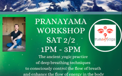 Pranayama Workshop