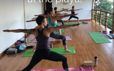 True Self Yoga Retreat Early Bird Special