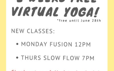 New Virtual Classes!