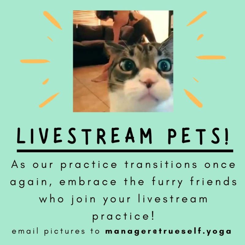TSY Pets True Self Yoga