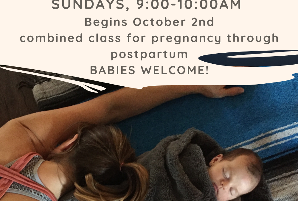 New Pre+Post Natal Classes coming this Fall!