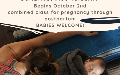 New Pre+Post Natal Classes coming this Fall!
