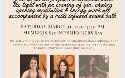 Yin Yoga and Reiki with Sound Healing Workshop