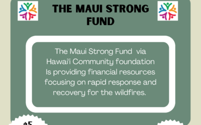 Fundraiser for Maui